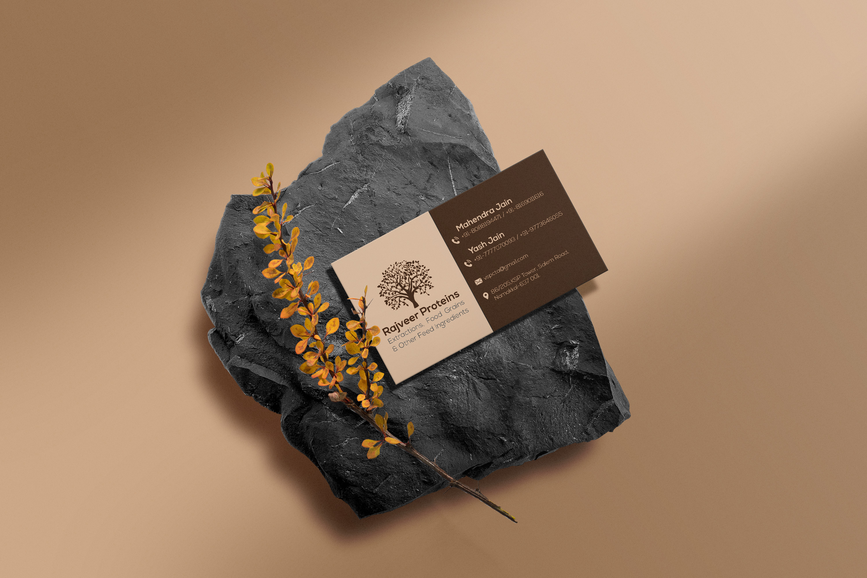 Rajveer Protein Visting Card