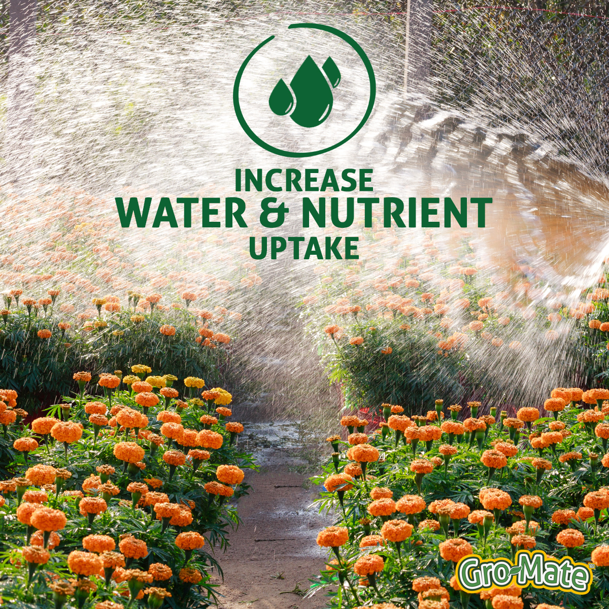 GrowMate Fertilizer UK