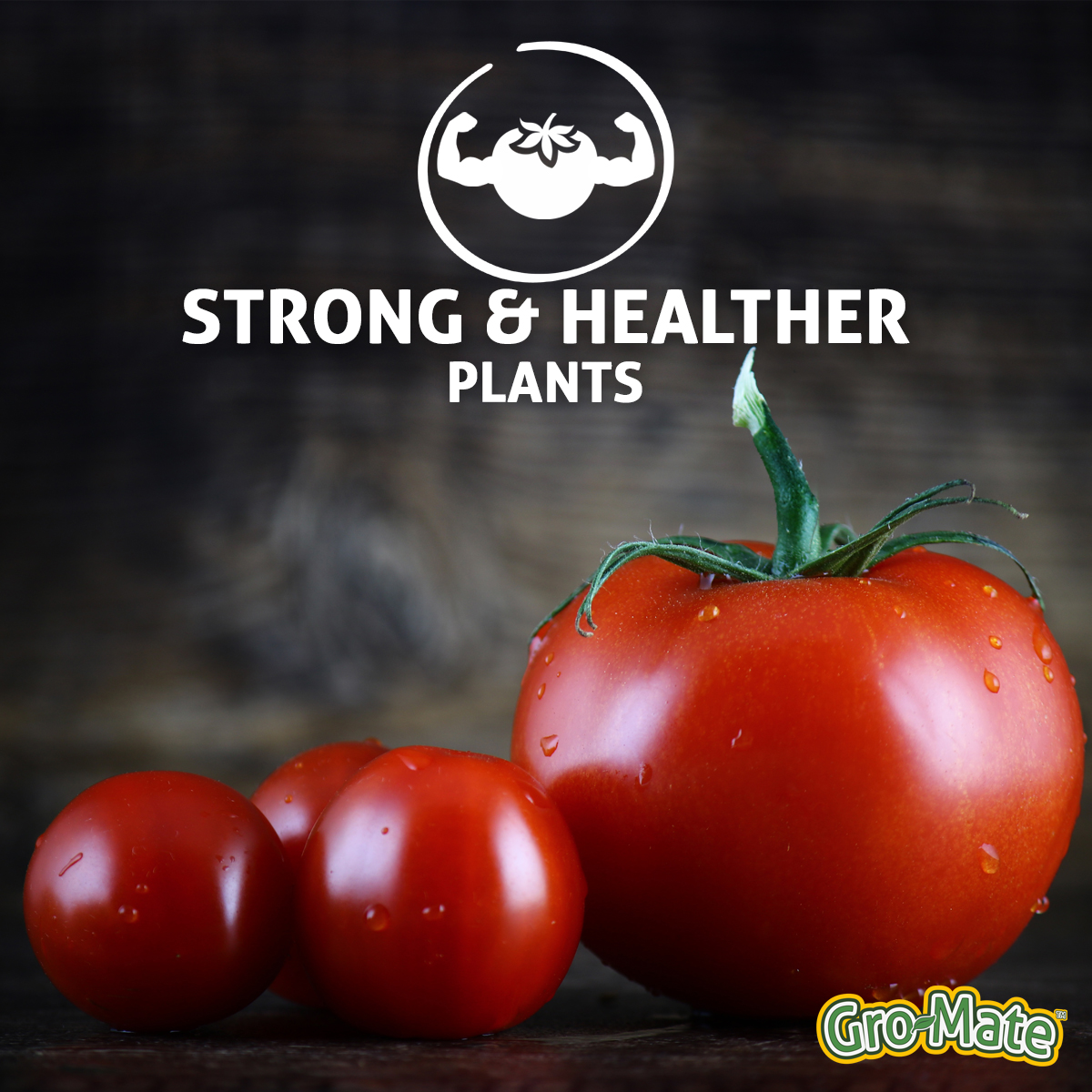 GrowMate Fertilizer UK