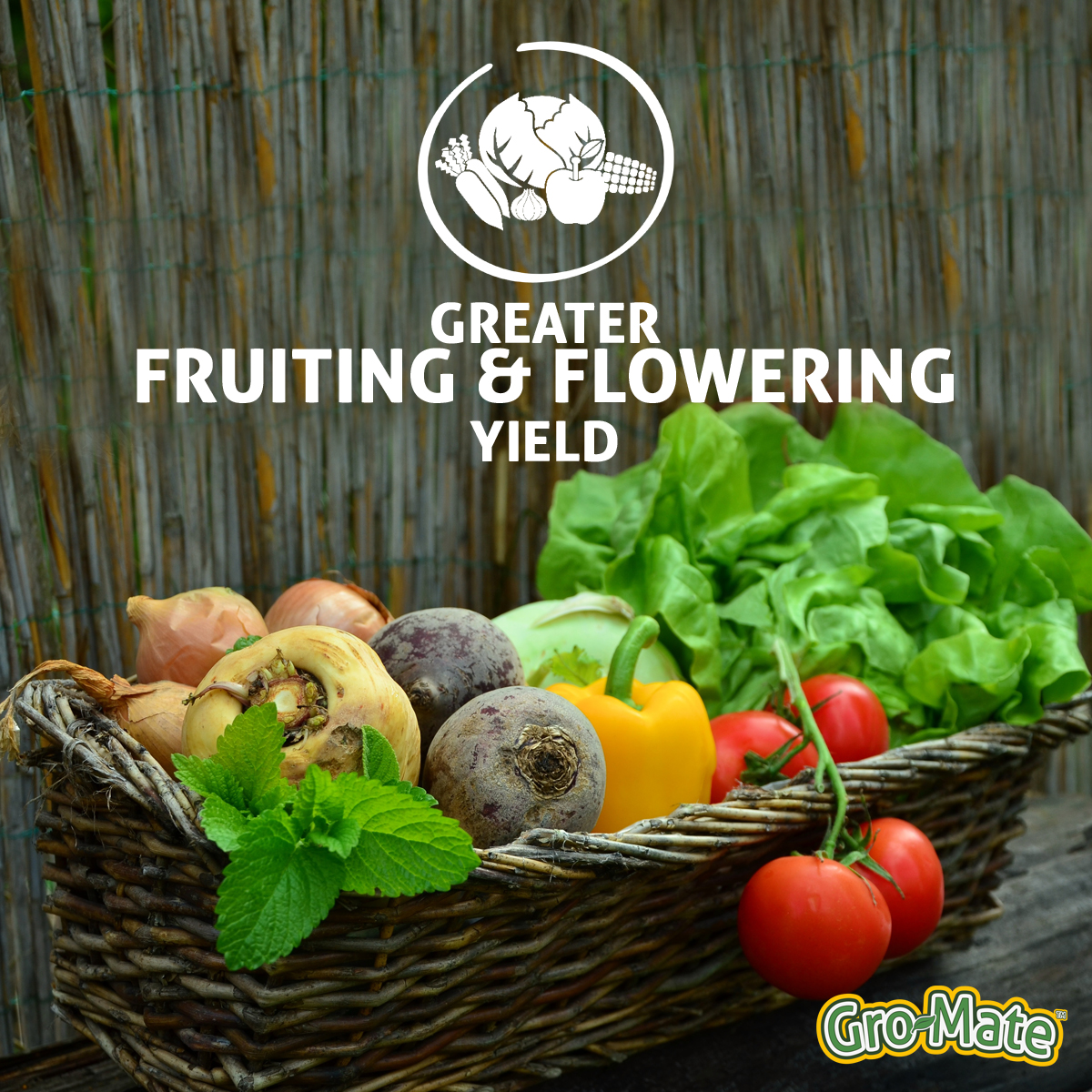 GrowMate Fertilizer UK